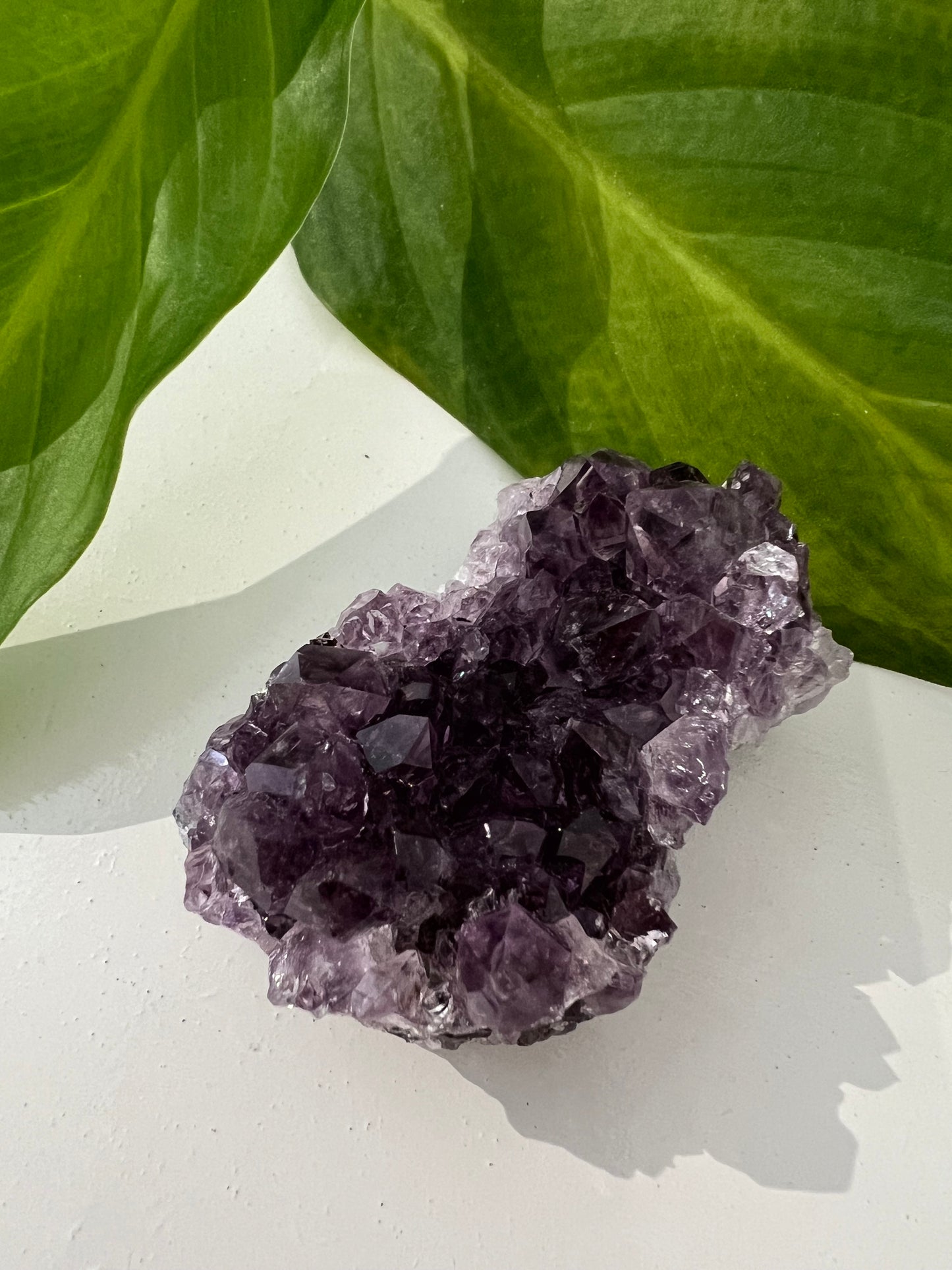 Amethyst Mini Clusters