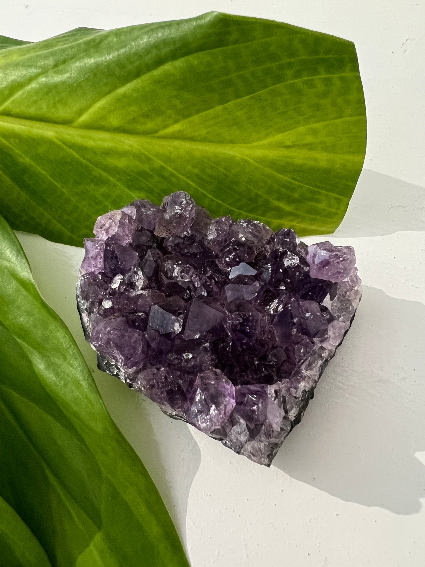 Amethyst Mini Clusters