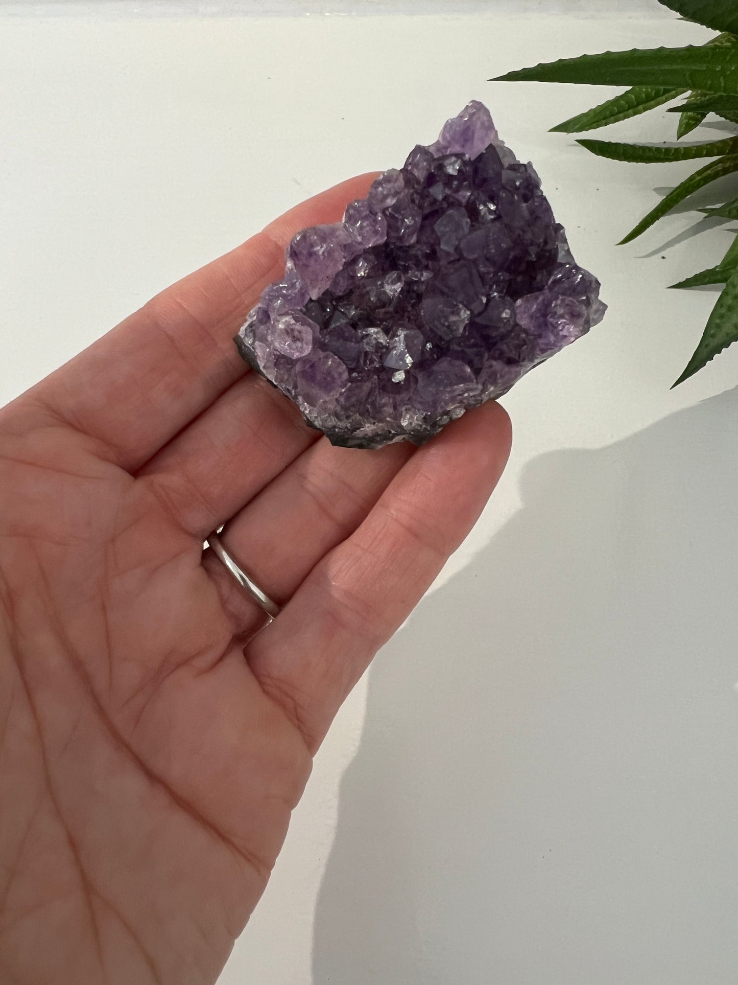 Amethyst Mini Clusters