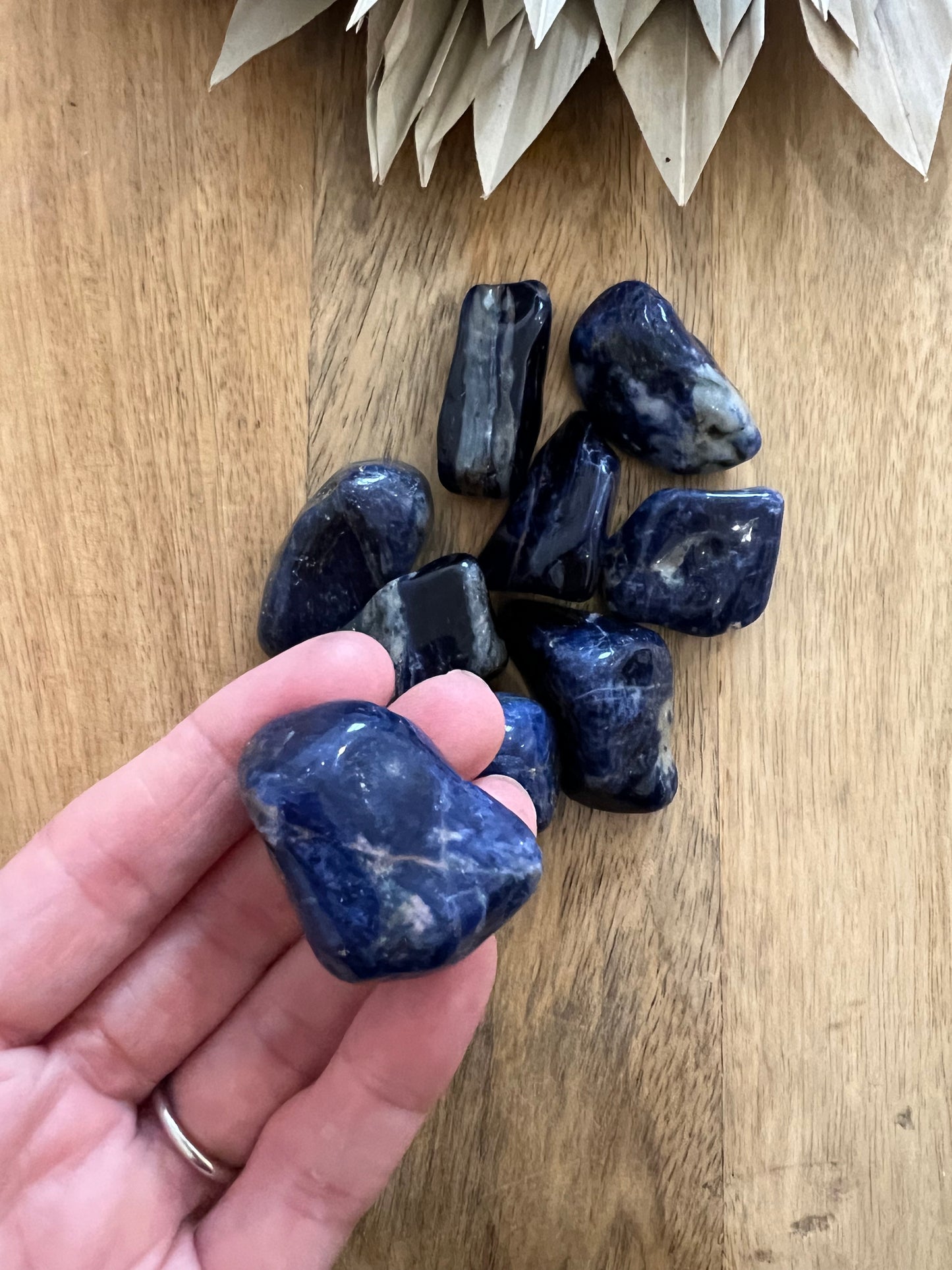 Sodalite Tumbles