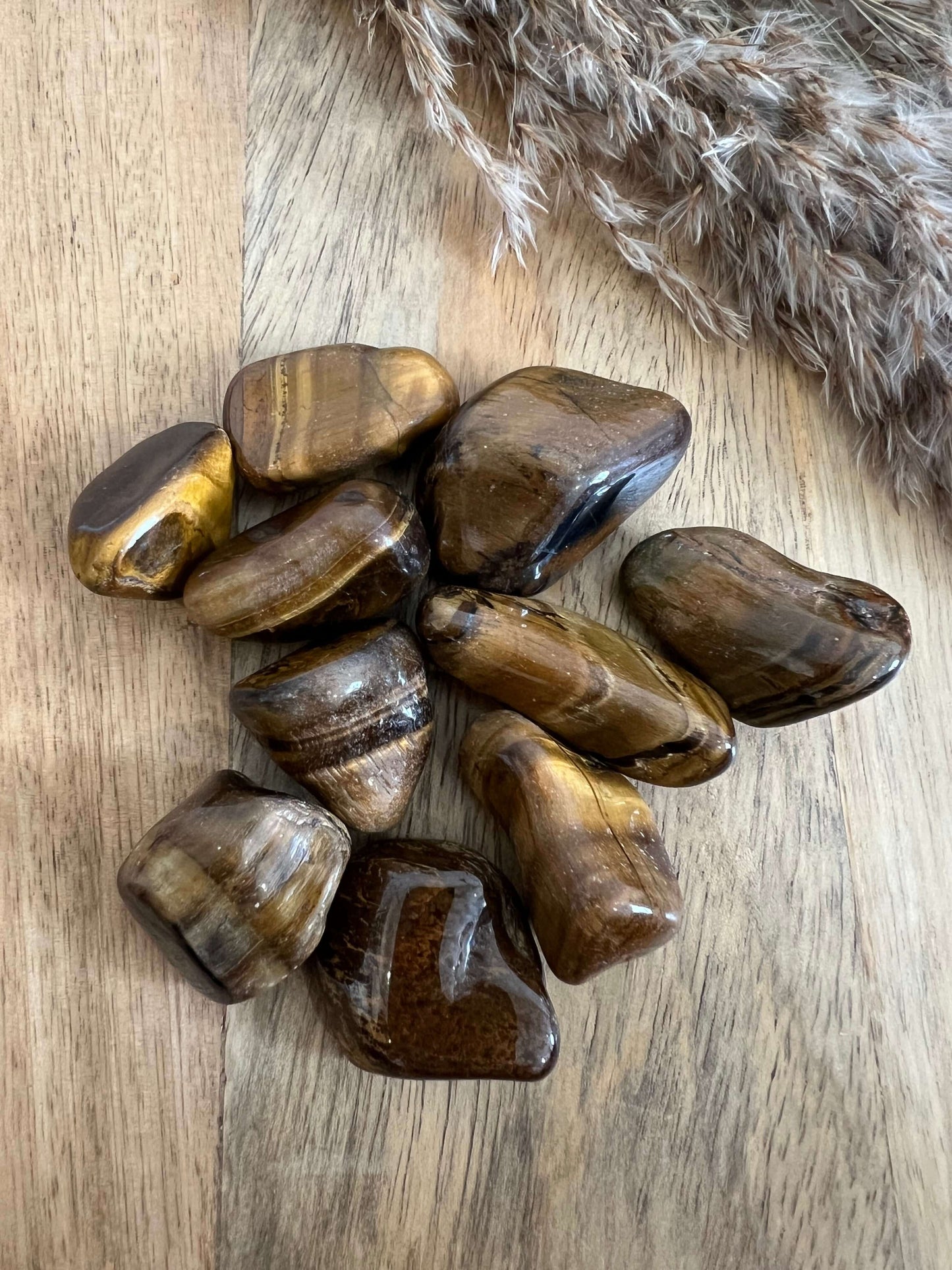 Tiger Eye Tumbles